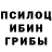 Псилоцибиновые грибы Psilocybe Jemma1983 Bazoeva
