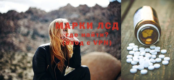 шишки Богородицк