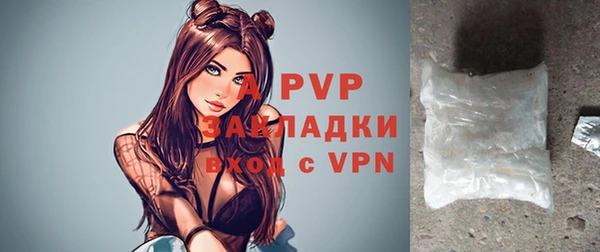 шишки Богородицк