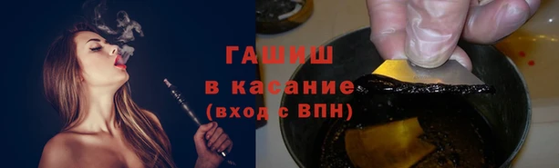 шишки Богородицк
