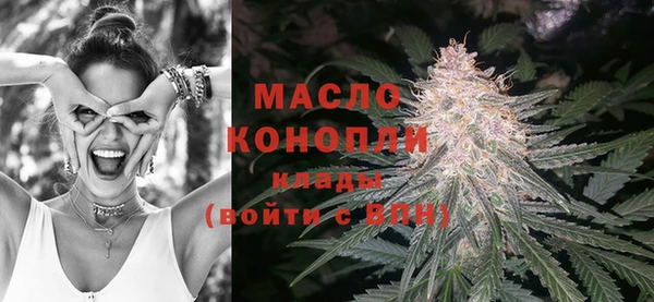 шишки Богородицк
