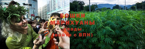 бошки Богданович