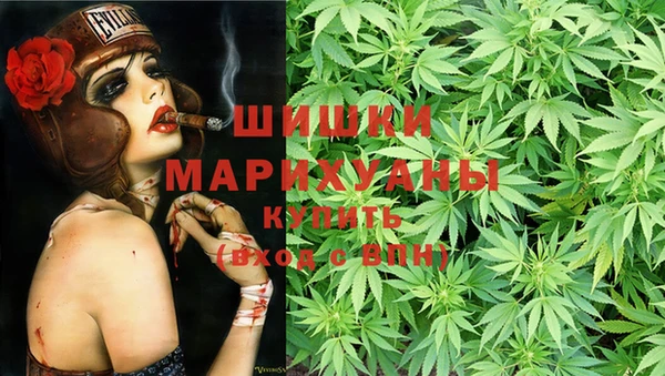 бошки Богданович