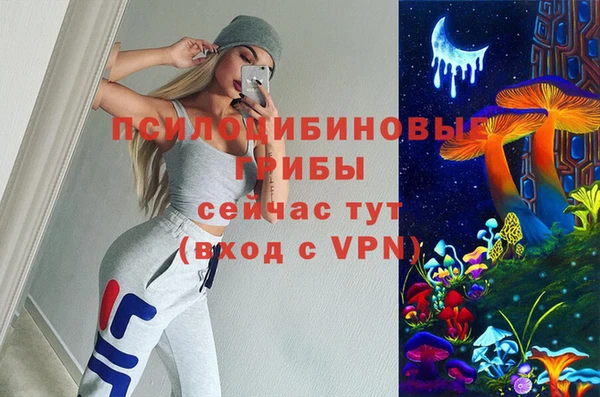 шишки Богородицк